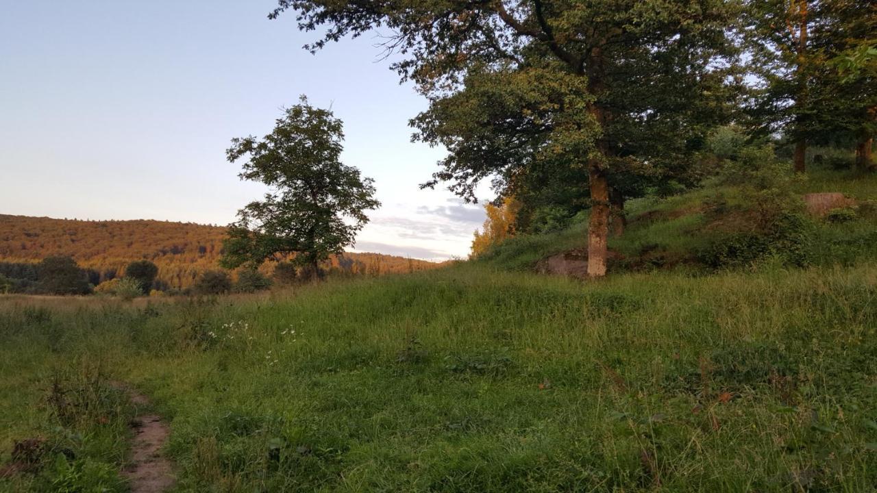 Ma Roulotte Sous Les Chenes- Au Naturel Raon-aux-Bois المظهر الخارجي الصورة