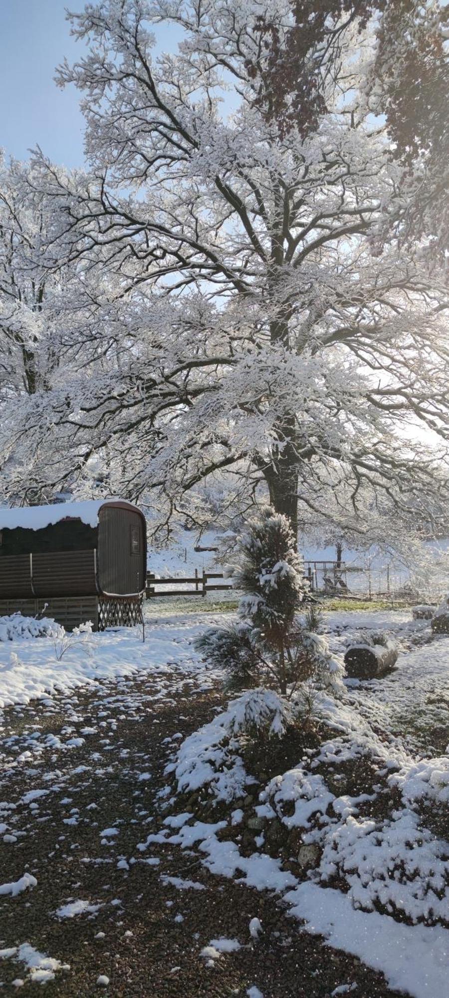 Ma Roulotte Sous Les Chenes- Au Naturel Raon-aux-Bois المظهر الخارجي الصورة